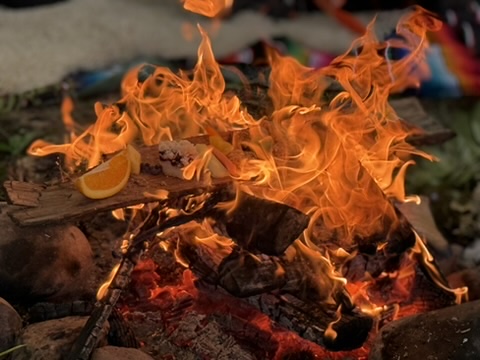 2C1D5362-020F-48CF-B5C4-57F125498A16_4_5005_c